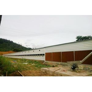 Q235B Steel Structure Poultry House Painted Steel Frame Chicken Coop