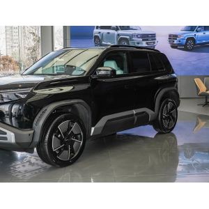 Popular Used Cars 2025 Fang Cheng Bao Compact SUV with 501km Range and 310kW
