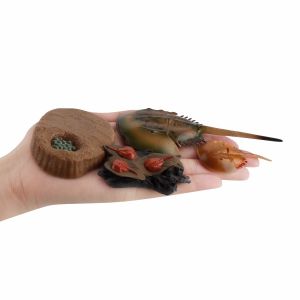 4 PCS Sea Marine Animal Figures Ocean Creatures Action Models Life Cycle