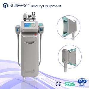 China Cryolipolysis Fat Freezing Slimming Equipment/Cryolipolysis Body Contouring Machine on sale