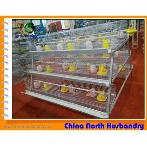 China Galvanized Chicken Cage from Poultry Cage on sale