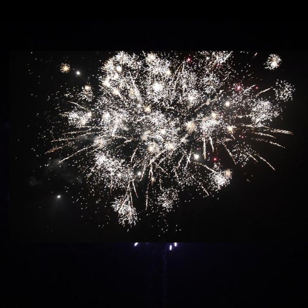 Quality Chinese Fireworks Liuyang 46 Shots Consumer Cake Fireworks wholesale