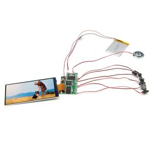 IPS TFT LCD Panel LCD Video Module for FLV Image Format in Market