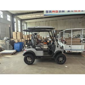 20% Maximum Climbing Degree Two-Person Golf Cart with 120mm Min Ground Clearance
