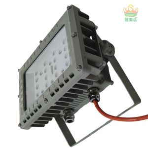 Safety Explosion proof Flameproof flood light For Oil Gas hazardous Zone 1 160lm