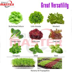 Vertical Farming IP65 Grow Light Bar LED 36W Full Spectrum For Plants