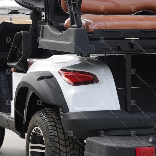 Custom 2 Seater Golf Cart Car Electric Lithium Powered CE Certificated