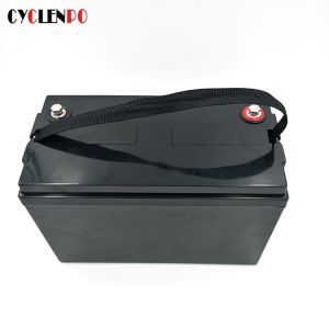 Lifepo4 lithium ion battery 12v 120ah, Smart APP controlled battery