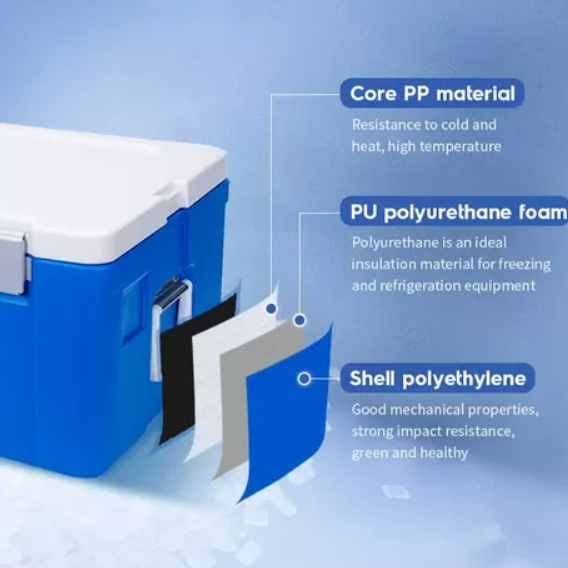 Durable Insulated Ice Cooler Box with Spacious 535*410*300mm Dimensions Lightweight 6.4kg and 1 Year Warranty