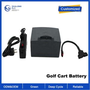 OEM ODM LiFePO4 lithium battery pack Custom Golf Trolley Battery 24v 10ah Remote