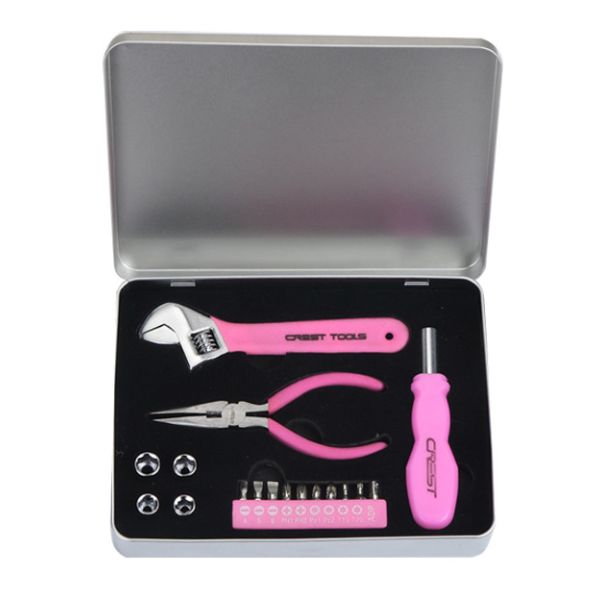 Quality 18 pcs mini tool set ,with pliers ,screwdriver bits ,sockets ,wrench wholesale