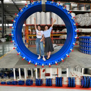 PN10 30 Dismantling Joint Ductile Iron Carbon Steel Double Flange Pipeline