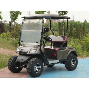 2 Person Golf Cart Buggy 25-40Mph Electric Power Lithium Battery Low Price