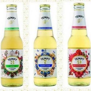 Danmark TEMPT Recyclable Transparent Glass Drinking Bottle 330ml