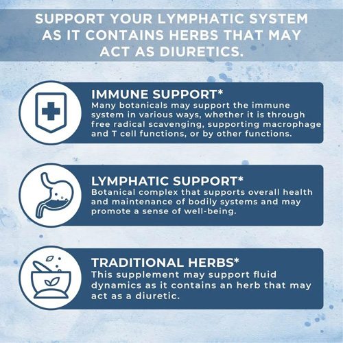 Factory support private label Lymphatic Cleanse Liquid Drops fot lymphatic system