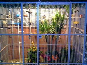China zoo aviary mesh weld mesh and flexible rope mesh on sale China zoo aviary mesh weld mesh and flexible rope mesh on sale