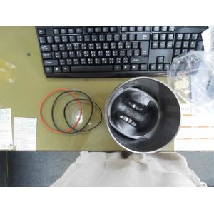 RE507850 Generator Parts , Piston Liner, 6068 Engine,Steel, Gray