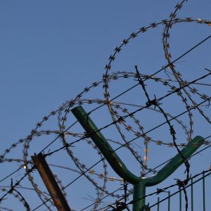 Customized Galvanized Stainless Steel Barbed Wire Roll Customized