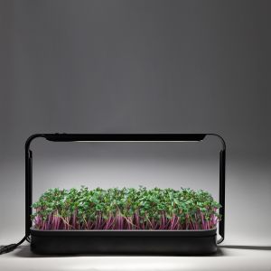 6400k Tabletop Grow Lights Microgreen Indoor Alloy Black 16W Smart