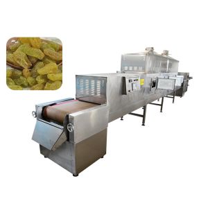 China Belt Conveying Raisins Food Sterilization Equipment , Microwave Sterilization Machine on sale