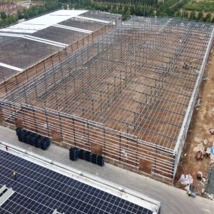 PEB Steel Building Structure Q235B Q355B for Warehouse Workshop