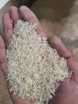 Nigeria Rice Color Sorter Smart Machine For Steamed Rice Grading Factory Price