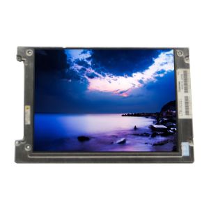 Cheap LTM10C0021 10.4 Inch 640*480 TFT-LCD Screen Panel For Laptop / Industrial for sale
