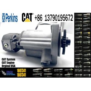 China High Pressure Fuel Injection Pump 2643D641 2643D640 2644H032 on sale