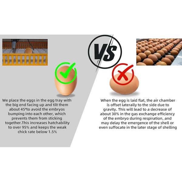 264 Egg Incubator With Automatic Egg Turning,Temperature Control And Humidity Control,Hatching Eggs,Chicken,Ducks,Poultry,Industrial Brooding Machine