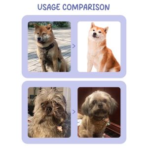 Eco Friendly Pet Clean Sheet Harmless Gentle Biodegradable Customizable