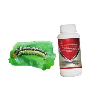 Spodoptera Frugiperda Biological Insecticides SC Solution Effective Safe Vegetable Pest Killer