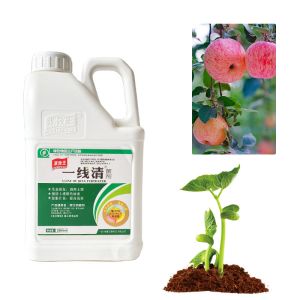 100% Soluble Soil Conditioner Fertilizer Seaweed Extract For Promoting Plants