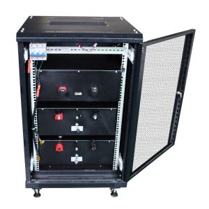 Phosphate LiFePO4 Lithium Battery Rechargeable With LED Indicator