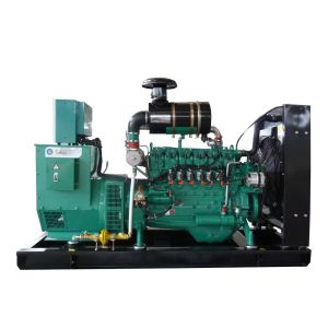 OEM Service Gas Power Generator Biogas / Natural Gas / LPG Generator