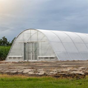 Stable Structure Vegetable and Herb Drying Greenhouse with Advanced Ventilation