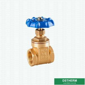 China Customized 200 WOG BSPT NPT Big Style Brass Gate Valve  With Blue Iron Handle on sale