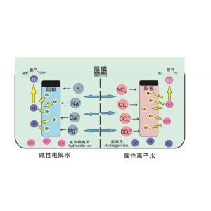 Electric Auto Control PLC Siemens Hypochlorous Acid Generator 100G/H For