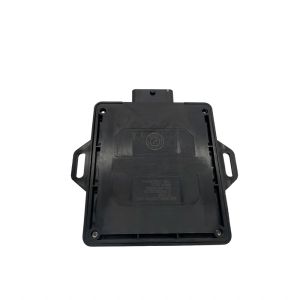 Advanced Black Engine ECU For CNG/LPG Vehicles With On Board Diagnostics
