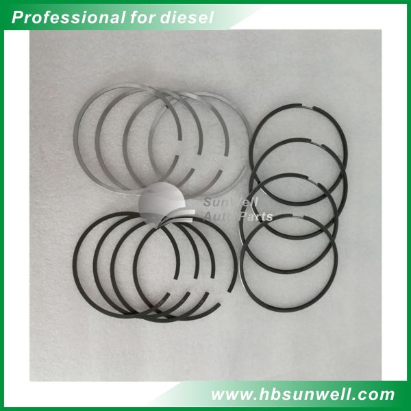 Dongfeng Cummins ISF Diesel Engine Overhaul Kits Piston Ring 4976251 4976252