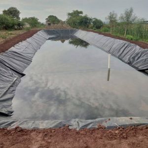 1m-8m Width HDPE Geomembrane for Landfill Artificial Lake Tank Dam Fish Pond