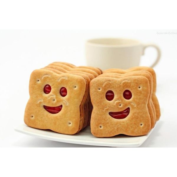 Quality Soda Crackers For All Ages HACCP Certification In 150g wholesale