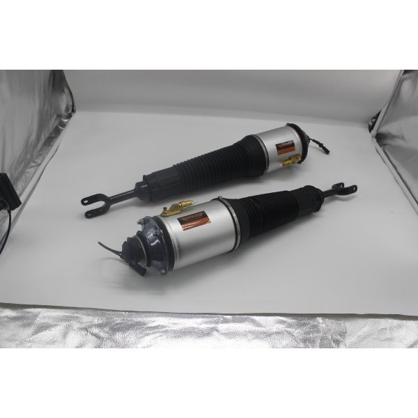 Replace/Repair Shock Absorber 4E0616039 4E0616040 for Audi A8 D3 4E OEM Standard