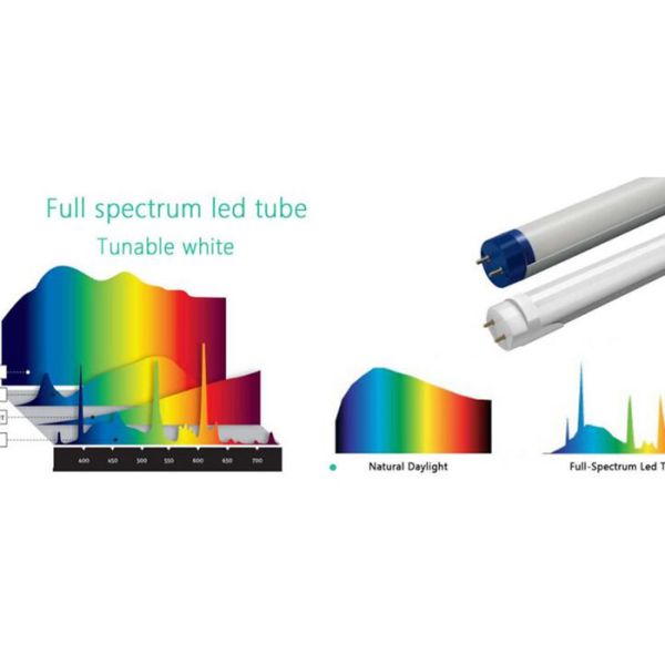 18W T8 Led Tube With Radar Size 4ft Input 220 - 240V For Family / Shop 4500K