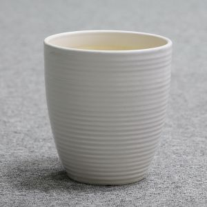 Stunning Plant Display With Our Ceramic Pots Various Sizes Available Ceramic