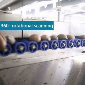 CE Endorsed Pecan Nuts Sorting Machine 7kW 380V Capable 1-2 Tons With 8 Gates