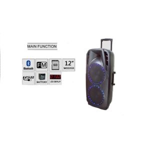 12 Inch Portable Trolley Speaker Big Subwoofer Speaker For Karaoke Player