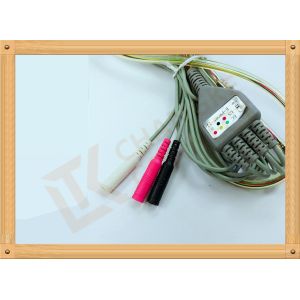 Veterinary Esophageal Human Temperature Sensor Relationship With Edam