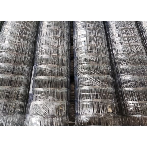 Quality Iso Passed Bwg12 2.5mm Gauge Galvanized Iron Mesh wholesale