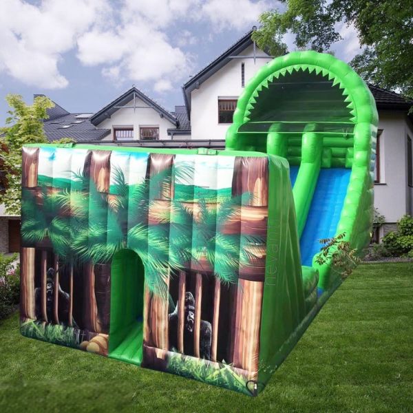 Hot Style Inflatable Water Slide with Custom Logo Printed and Max Capacity 100