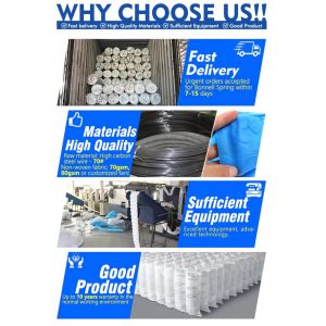 Factory Customized 5 Zoned Pocket Coil Spring Units For Mattress